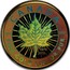 Canada 50 Dollars 30th Anniversary Gold Maple Leaf Hologram 2009 Proof 9999 9999 CANADA FINE GOLD 1 OZ OR PUR 1979 2009 coin reverse