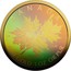 Canada 50 Dollars Maple Leaf Gold 2020 CANADA FINE GOLD 1 OZ OR PURE 99999 2020 coin reverse