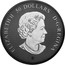 Canada 50 Dollars Maple Leaves in Motion 2020 ELIZABETH II 50 DOLLARS D G REGINA coin obverse