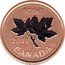 Canada 1 Cent Maple Leaf 2009 (ml) UNC KM# 490a 1 CENT 2007 CANADA KG coin reverse