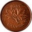 Canada 1 Cent Succession of Queen Elizabeth II 1952-2002 P KM# 445 1 CENT CANADA coin reverse