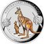 Australia 1 Dollar Australian Kangaroo. Colored 2020 P AUSTRALIAN KANGAROO 2020 1OZ 9999 SILVER coin reverse