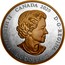 Canada 100 Dollars The Armorial Bearings of the Dominion of Canada 2020 ELIZABETH II CANADA 2020 D G REGINA 100 DOLLARS coin obverse