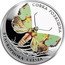 Ukraine 2 Hryvni Staukophora Celsia Colored 2020 STAUROPHORA CELSIA СОВКА РОЗКІШНА coin reverse