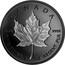 Canada 20 Dollars Maple Leaf 2020 CANADA 9999 9999 FINE SILVER 1 OZ ARGENT PUR coin reverse