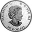 Canada 20 Dollars The Canadian Maple Masters Collection 2020 ELIZABETH II D G REGINA 20 DOLLARS coin obverse