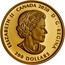 Canada 200 Dollars Xhuwaji - Haida Grizzly Bear 2020 ELIZABETH II CANADA 2020 D G REGINA 200 DOLLARS coin obverse