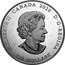 Canada 250 Dollars Arms of Dominion of Canada 2020 ELIZABETH II CANADA 2020 D G REGINA 250 DOLLARS coin obverse