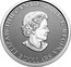 Canada 3 Dollars Newfoundland and Labrador. Pitcher Plant 2020 ELIZABETH II CANADA 2020 D G REGINA 3 DOLLARS coin obverse