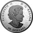 Canada 30 Dollars Canadian Maple Leaves 2020 ELIZABETH II D G REGINA 30 DOLLARS coin obverse