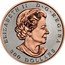 Canada 300 Dollars Maple Leaf Forever 2020 ELIZABETH II D G REGINA 300 DOLLARS coin obverse