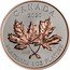Canada 300 Dollars Maple Leaf Forever 2020 CANADA 2020 9995 PLATINUM 1 OZ PLATINE coin reverse