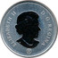 Canada 5 Cents Beaver 2010 ELIZABETH II D G REGINA coin obverse