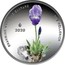 Greece 5 Euro Iris Hellenica 2020 Proof ΕΝΔΗΜΙΚΑ ΦΥΤΑ ΤΗΣ ΕΛΛΑΔΑΣ IRIS HELLENICA 2020 coin reverse