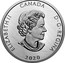 Canada 50 Dollars Courageous Bald Eagle 2020 ELIZABETH II CANADA 2020 D G REGINA coin obverse