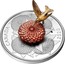Canada 50 Dollars The Hummingbird and the Bloom 2020 CANADA 2020 coin reverse