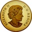 Canada 500 Dollars Splendid Maple Leaves 2020 ELIZABETH II D G REGINA coin obverse