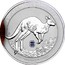 Australia 5000 Dollars Australian Kangaroo 2017 P Proof AUSTRALIAN KANGRAOO 2017 1 KILO 9995 PLATINUM coin reverse