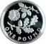 UK Pound Rose and Oak. Piedfort 2013 Proof ONE POUND coin reverse