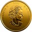 Canada 200 Dollars (Bobcat) ELIZABETH II 2020 D G REGINA 200 DOLLARS coin obverse