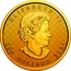 Canada 200 Dollars The Classical Maple Leaf 2021 ELIZABETH II 200 DOLLARS 2021 coin obverse
