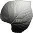 Latvia 5 Euro Linden Leaf 2020  proof 2020 5 EURO LATVIJA coin obverse