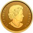Canada 20 Dollars 100th Anniversary of Canada's Coat of Arms 2021 ELIZABETH II D G REGINA SB coin obverse