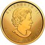 Canada 50 Dollars Maple Leaf - Winnipeg W 2021 ELIZABETH II 50 DOLLARS 2021 coin obverse