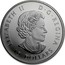 Canada 10 Dollars Common Loon 2017 Matte Proof ELIZABETH II D ∙ G ∙ REGINA 10 DOLLARS coin obverse