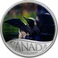 Canada 10 Dollars Common Loon 2017 Matte Proof CANADA 1867 2017 coin reverse