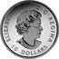 Canada 10 Dollars Kayaking on the River 2017 Matte Proof ELIZABETH II D ∙ G ∙ REGINA 10 DOLLARS coin obverse