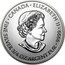 Canada 2 Dollars Devil's Brigade 2013  ∙ CANADA ∙ ELIZABETH II ∙ FINE SILVER 3/4 OZ ARGENT PUR ∙ 9999 coin obverse