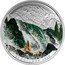 Canada 20 Dollars Landscape Illusion - Salmon 2016 KM# 2166 CANADA 20 DOLLARS 2016 JC coin reverse