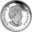 Canada 20 Dollars Snow Covered Trees 2017 Proof ELIZABETH II D ∙ G ∙ REGINA coin obverse