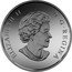 Canada 200 Dollars Canada's Icy Arctic 2016 Matte Proof KM# 2252 ELIZABETH II D∙G∙REGINA coin obverse