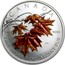 Canada 5 Dollars Sugar Maple leaf 2007 KM# 925 CANADA 9999 9999 SW FINE SILVER 1 OZ. ARGENT PUR coin reverse