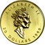 Canada 20 dollars 20th Anniversary Gold Maple Leaf Hologram 1999 In Sets only KM# 368 ELIZABETH II 20 DOLLARS 1999 coin obverse