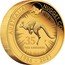 Australia 200 dollars 35th Anniversary of the Australian Kangaroo Nugget 2021 P AUSTRALIAN NUGGET COIN 35 RED KANGAROO 1986 2021 coin reverse