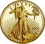 USA 25 Dollars American Gold Eagle 2021 W Proof L I B E R T Y 2021 W AG coin obverse