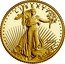 USA 5 Dollars American Gold Eagle 2021 W Proof L I B E R T Y 2021 W AG coin obverse
