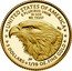 USA 5 Dollars American Gold Eagle 2021 W Proof UNITED STATES OF AMERICA E PLURIBUS UNUM IN GOD WE TRUST RG JN 5 DOLLARS 1/10 OZ. FINE GOLD coin reverse