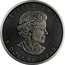 Canada 5 dollars Royal Mint (Four seasons) 2020 ELIZABETH II 5 DOLLARS 2020 coin obverse