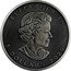 Canada 5 dollars (Maple Leaf Four Seasons spring) ELIZABETH II 5 DOLLARS 2020 coin obverse