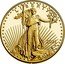 USA 50 Dollars American Gold Eagle 2021 W L I B E R T Y 2021 W coin obverse