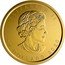 Canada 50 dollars Maple Leaf W Mint Mark 2020 ELIZABETH II 50 DOLLARS 2020 coin obverse