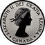 Canada 20 Dollars The Queen's Diamond Jubilee 2012 KM# 1350 ELIZABETH II DEI GRATIA REGINA CANADA coin obverse