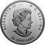 Canada 25 Dollars Bold Bison 2021 ELIZABETH II D G REGINA 25 DOLLARS SB coin obverse