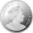 Australia 1 Dollar Australian Dinosaurs. Australovenator 2022 C JC ELIZABETH II AUSTRALIA 2022 coin obverse