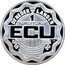 Netherlands 1 ecu (Deventer Mint 1000th Anniversary.) X# 20a 1990 1 ECU DE NEDERLANDEN coin obverse