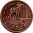 Cyprus 1 Euro cent Euro Coinage PRUEBA TRIAL ESSAI PROBE CYPRUS 2003 KIBRIS KΥΠΡΟΣ coin obverse